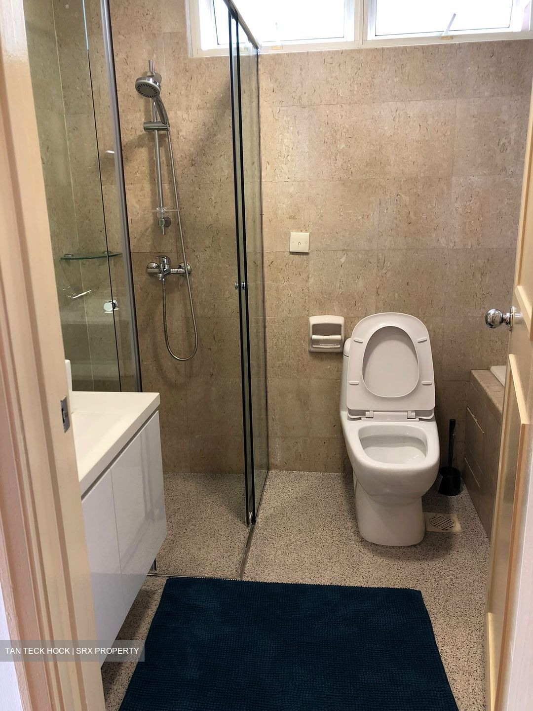 Oleander Towers (D12), Apartment #624159841
